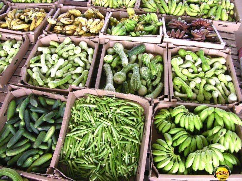 Apoiar o desenvolvimento da Cadeia Produtiva de Frutas, Legumes e Verduras (FLV), nos 14 municípios do Vale do Rio Cuiabá 